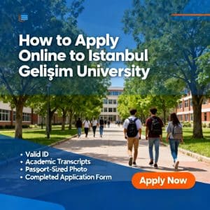 Istanbul Gelişim University how to apply online requirements explained